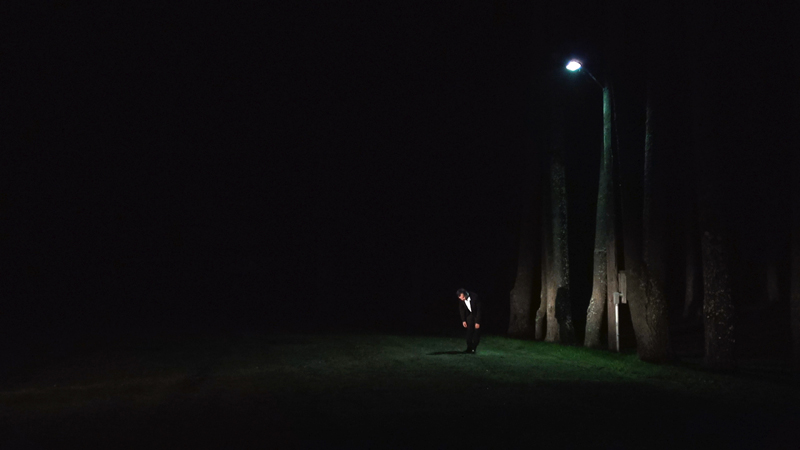Night, Lawn, Street light, Trees , Person