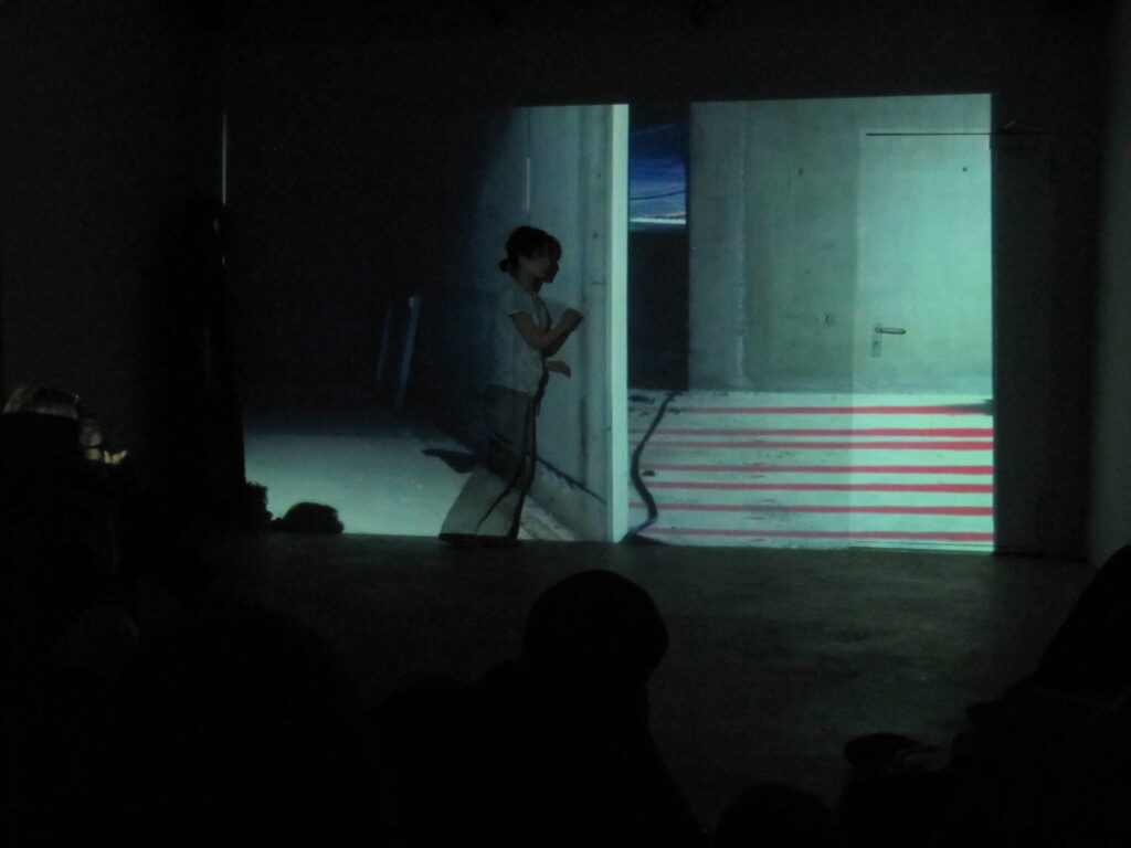 A performance with a video installation